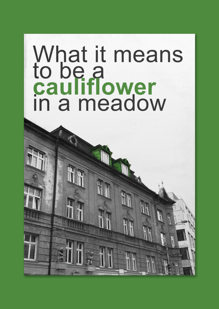 Cauliflower In A Meadow