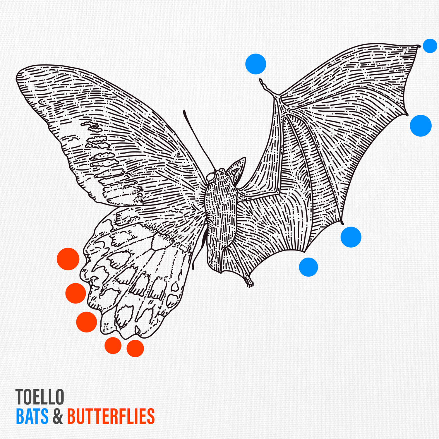BATS & BUTTERFLIES DIGITAL ALBUM